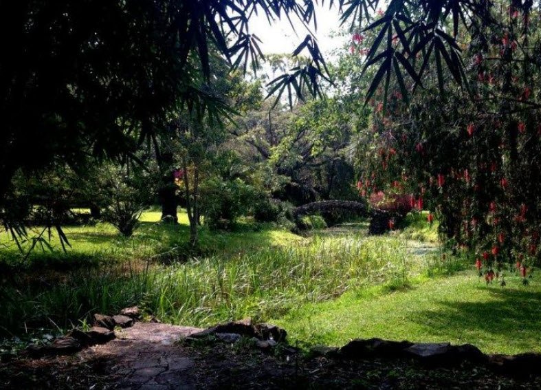 Munda Wanga Environmental Park, Lusaka, Lusaka Province, Zambia